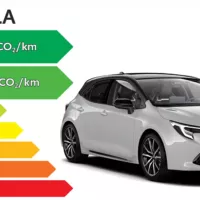Corolla – Image 4